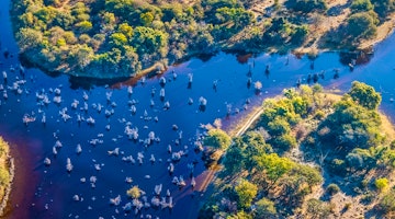 Botswana And Zambia Safari Review
