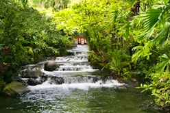Arenal Volcano Hike & Tabacon Hot Springs