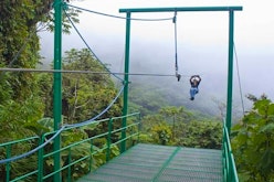 Zipline Tour and Canopy