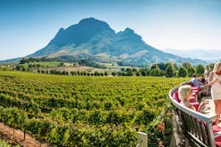 Winelands Tour full day