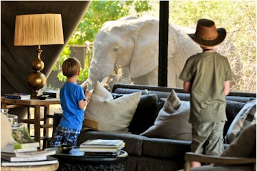 Botswana & Victoria Falls Family Safari