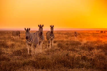 Classic Namibia Self-Drive Holiday