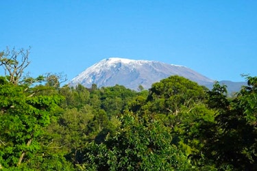 Kilimanjaro Group Climb - Lemosho Route