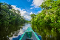 Ecuador's Amazon Rainforest