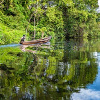 Peru's Amazon Rainforest