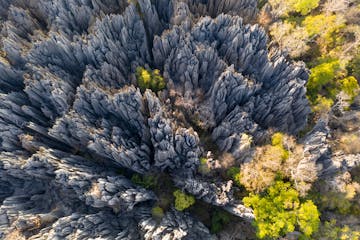 Kirindy - Tsingy de Bemaraha National Park