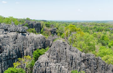 Tsingy de Bemaraha National Park - Petite tsingy and Manambolo River