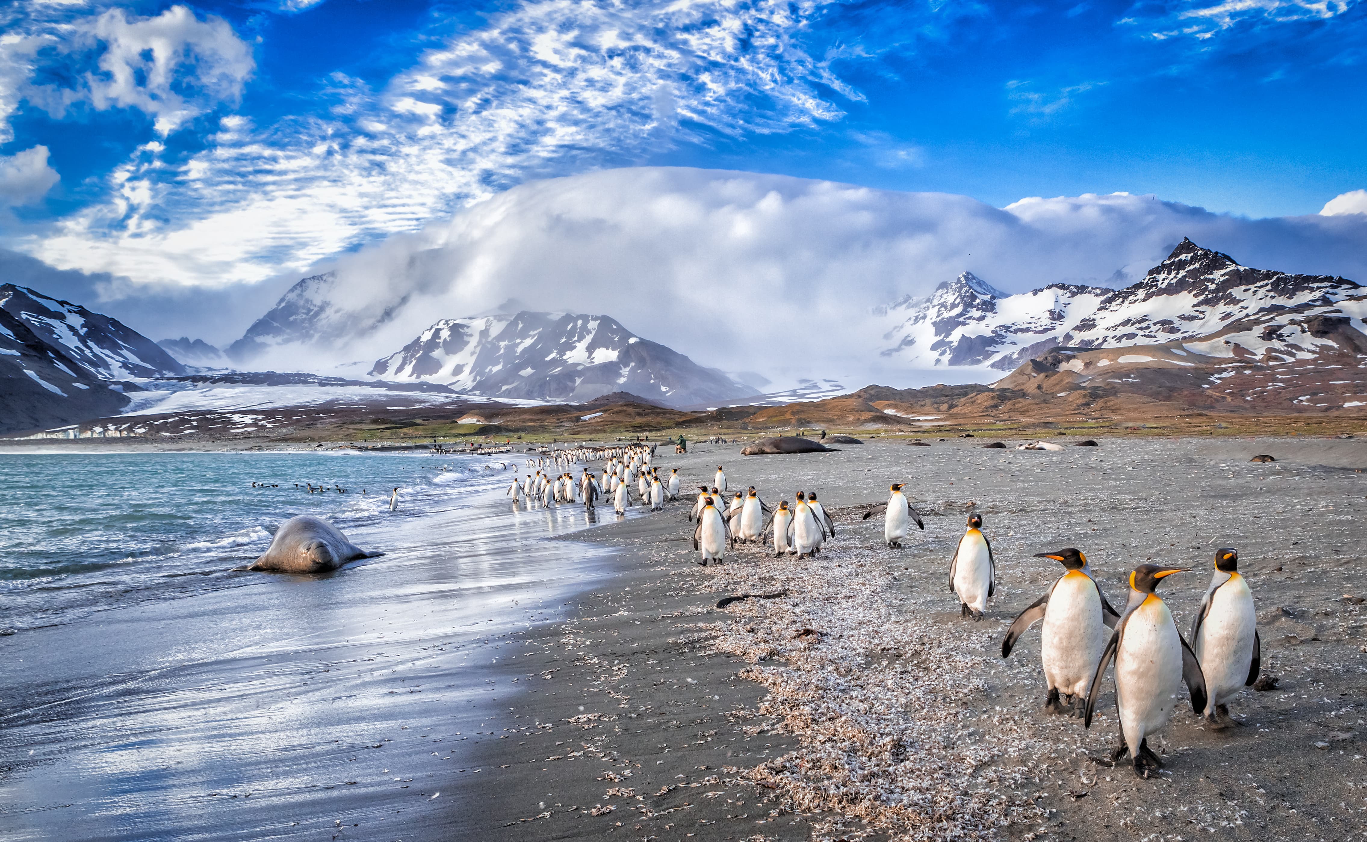 South Georgia & Antarctic | Antarctica Holidays | Rainbow