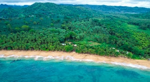 Wild São Tomé & Principe - Nature and Beach