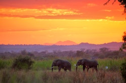 Malawi Safari Holidays