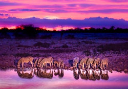 Namibia Safari Holidays
