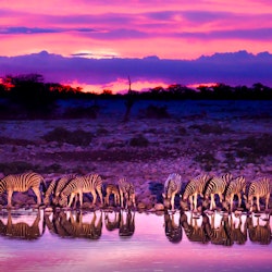 Namibia Safari Holidays