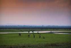 Mozambique Safari Holidays
