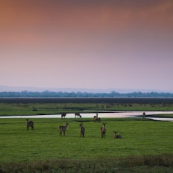Mozambique Safari Holidays