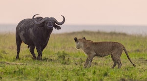 Masai Mara Safari & Mozambique