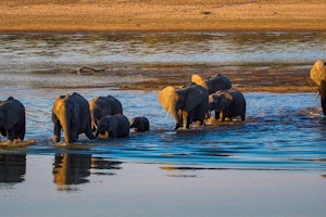 A Guide to the Wonders of Zambia: What British Tourists Need to Know - Weather and Best Time to Visit