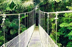 Arenal Hanging Bridges