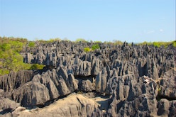 Guided Petite Tsingy and Manambolo River boat excursion