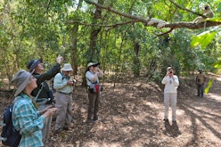 Berenty Private Reserve guided walks