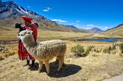 Journey through the Andes to Puno