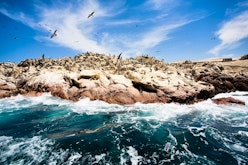 Ballestas Islands