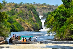 Murchison Falls Boat Trip and hike up the falls