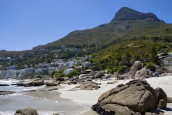Cape Point and Peninsula Tour full day
