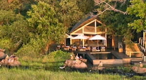 Abu Camp & Villa Okavango