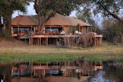Zarafa Camp