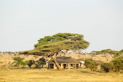 Namiri Plains