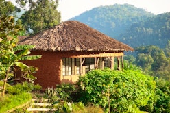 Mahogany Springs Lodge