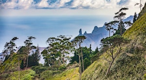 Cape Town and St Helena Combination