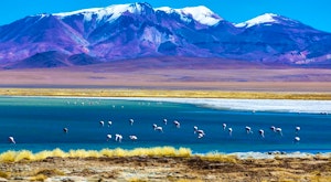 Highlights of Chile - Atacama Desert, Lakes & Torres del Paine