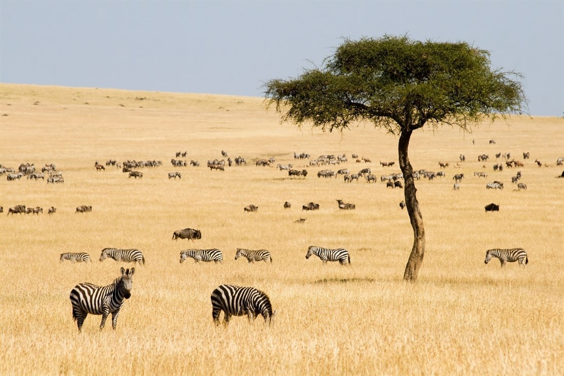 Exclusive Kenya Safari & Beach Holiday | Rainbow Tours