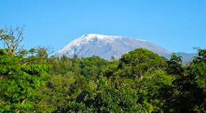 Kilimanjaro Group Climb - Lemosho Route