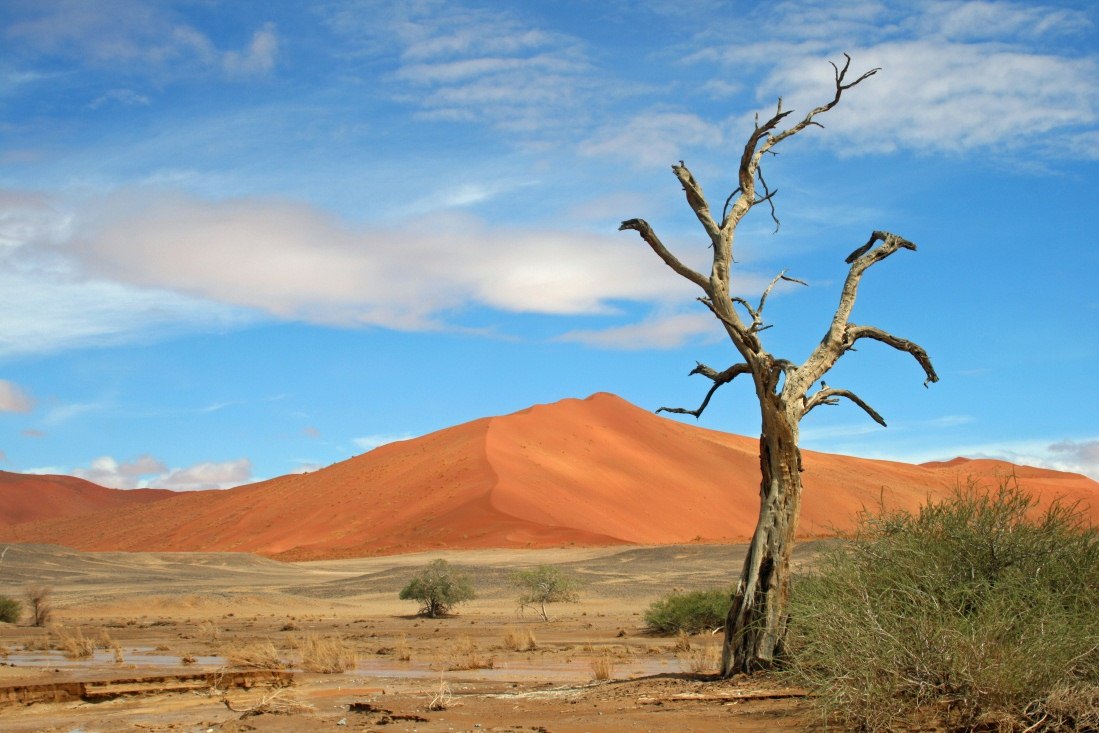 Luxury Namibia Flight Safari | Rainbow Tours