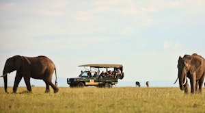Visions of Kenya Safari