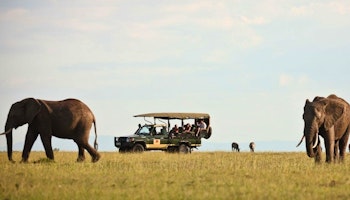 Visions of Kenya Safari image 1