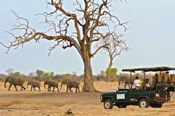 Zimbabwe Safari & Victoria Falls Adventure